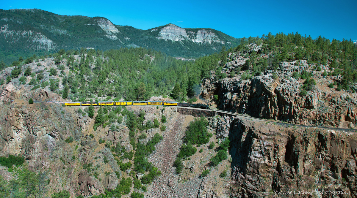 A Durango Train with a black engine and coal car snakes along a high cliff in summertime in Colorado. It pulls several vibrant yellow passenger cars behind it.