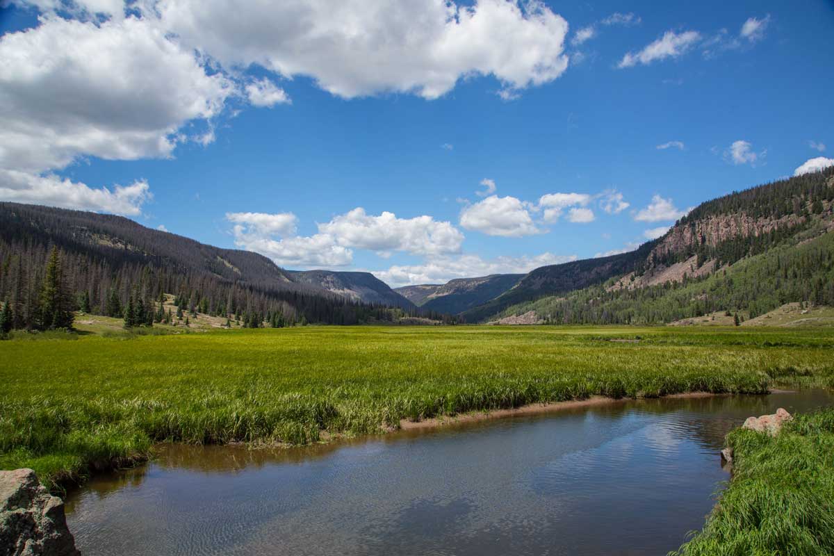 Rainbow Trout Ranch