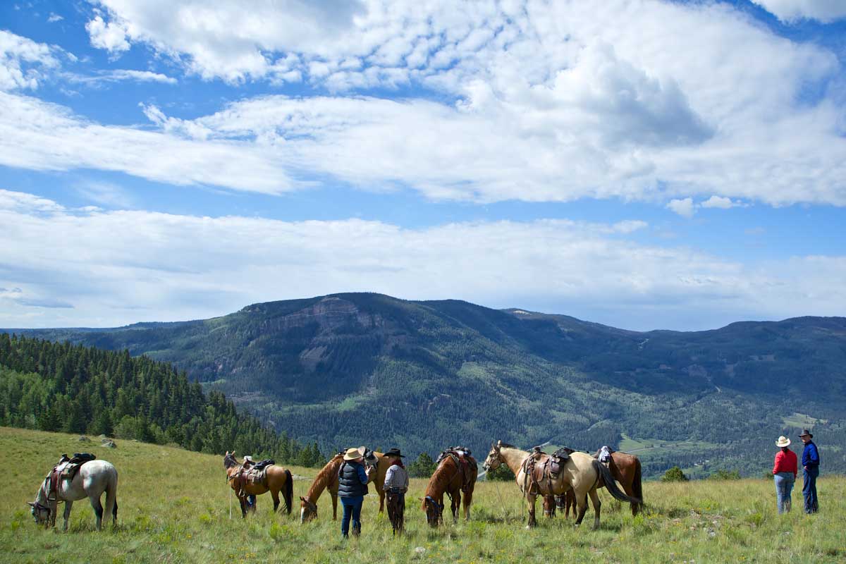 Rainbow Trout Ranch