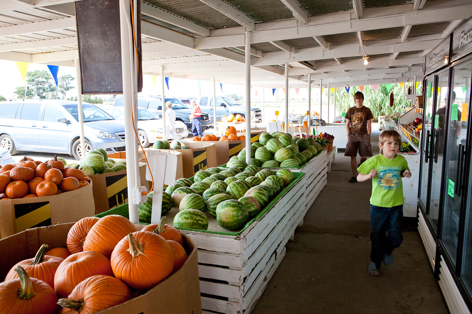 A farm stand is busy with multiple cars in the parking lot. In the foreground, bins of pumpkins and watermelons are being run past by a little boy. On the right are fridges.