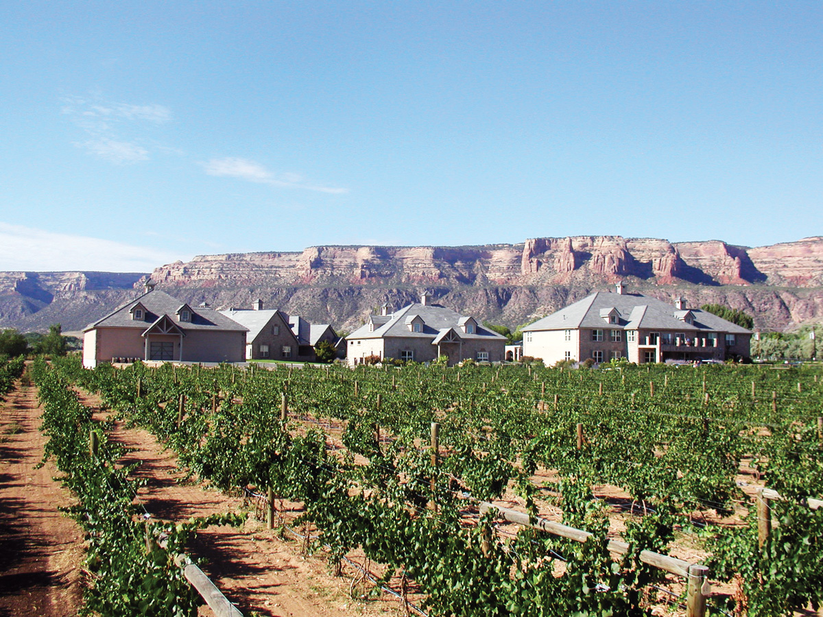 Beneath cliffs that looks like a row of books on a shelf, tidy rows of green vineyard vines line up