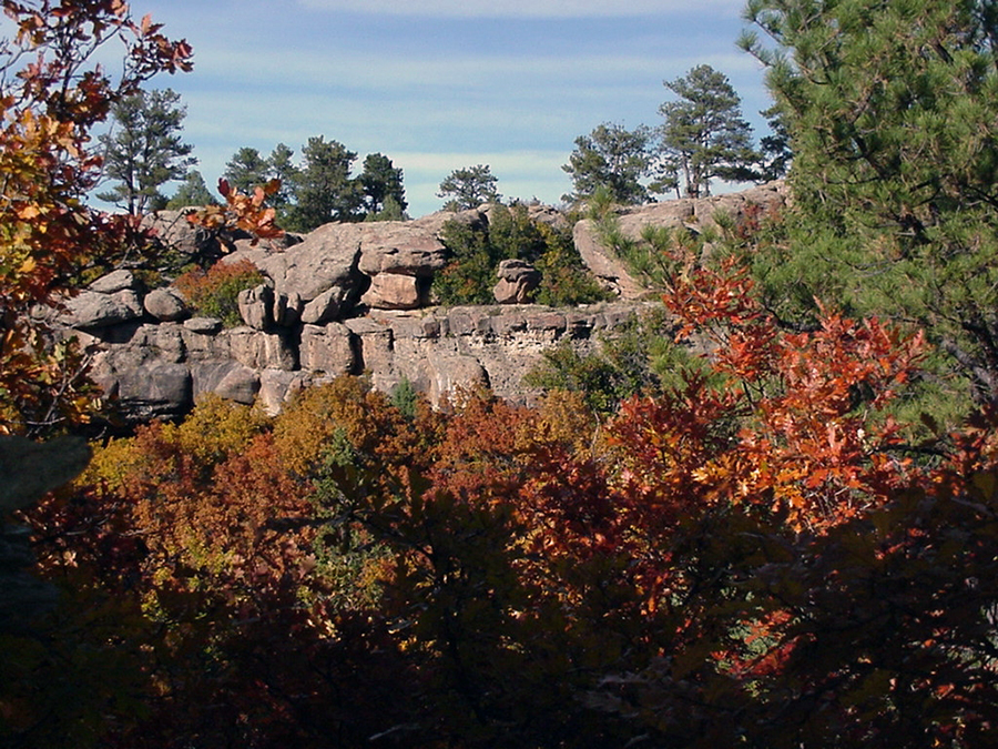 Fall at Castlewood Canyon State Park showcases red leaves with a rocky outcropping in the background and a blue sky with evergreen trees.