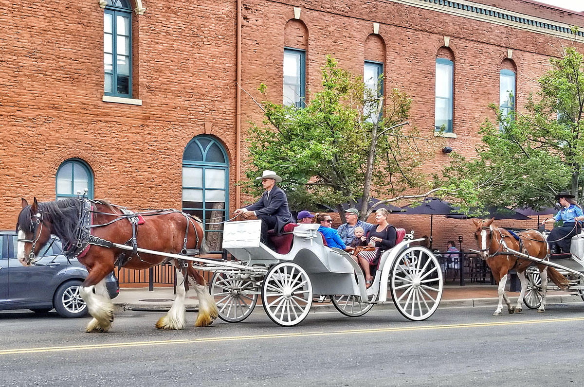 A white carriage is drawn by a chestnut-colored Clydesdale with multiple people in the carriage. In the background green-leafed trees sit in front of a red-brick building.