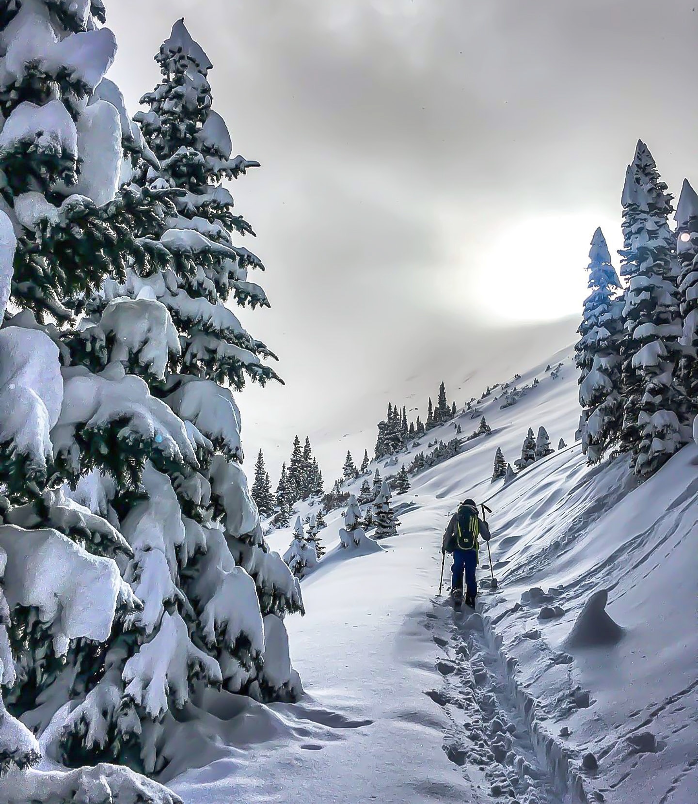group and private guided snowshoe trips photo 5