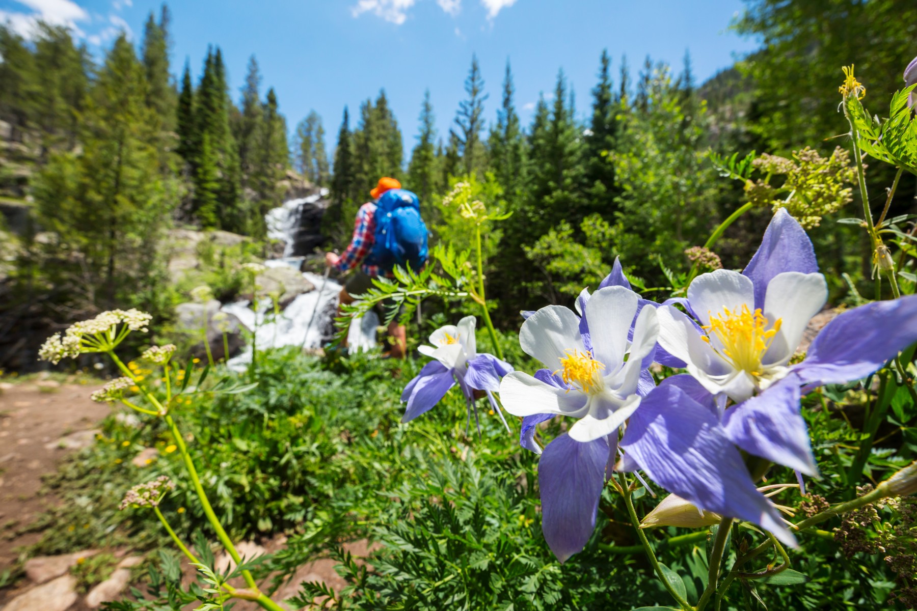scenic wildflower and alpine lakes hikes photo 9