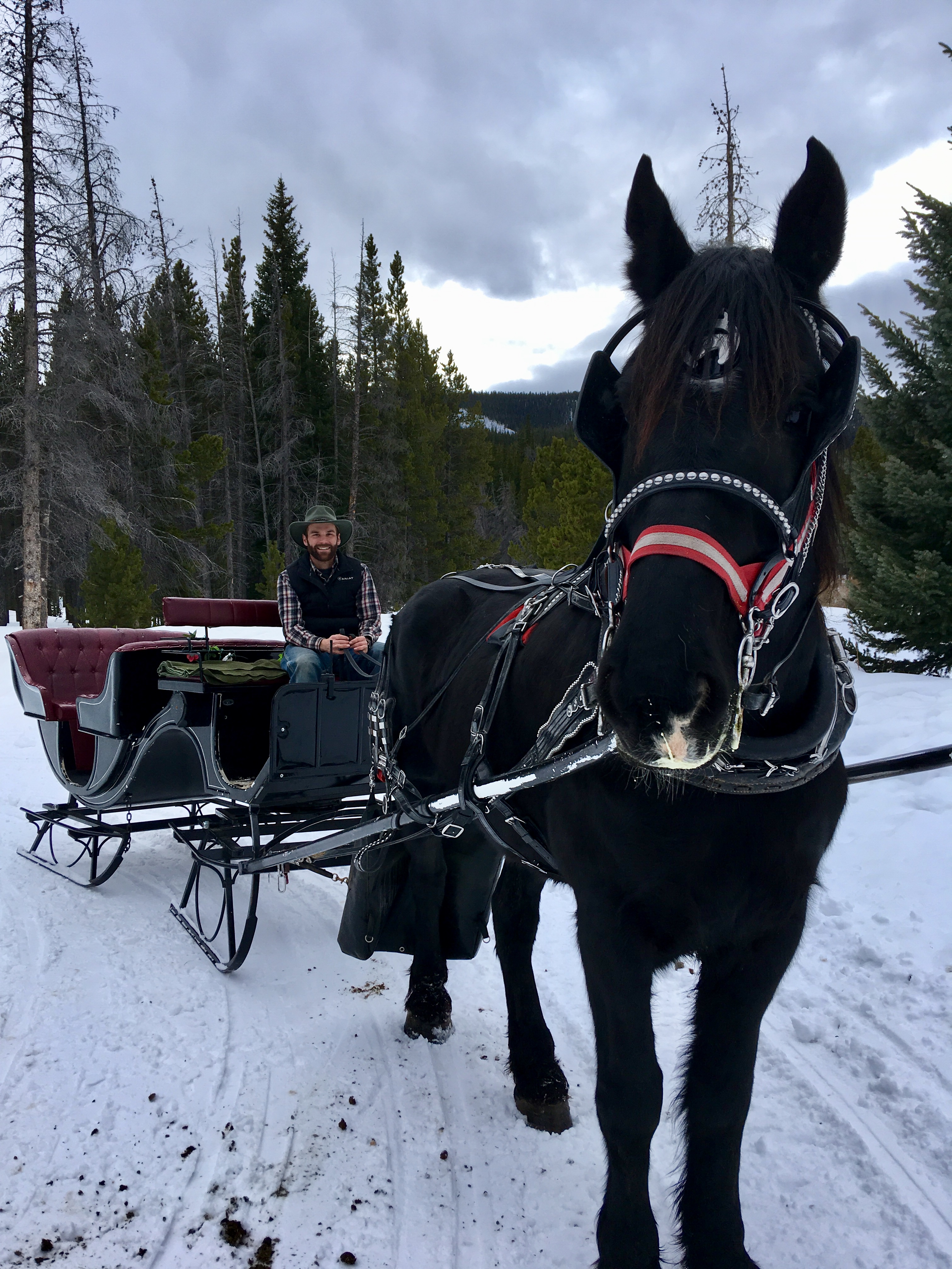 our exclusive sleigh photo