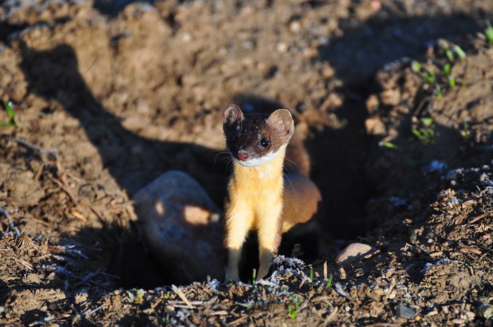 arapaho national wildlife refuge photo