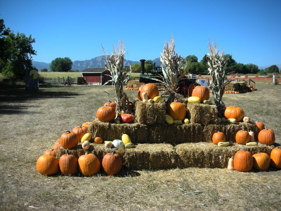 cottonwood farms photo