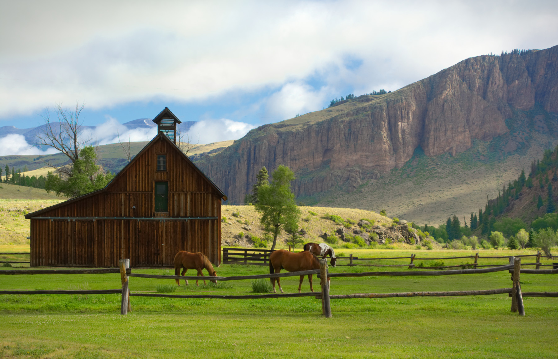 barn at 4ur photo 2