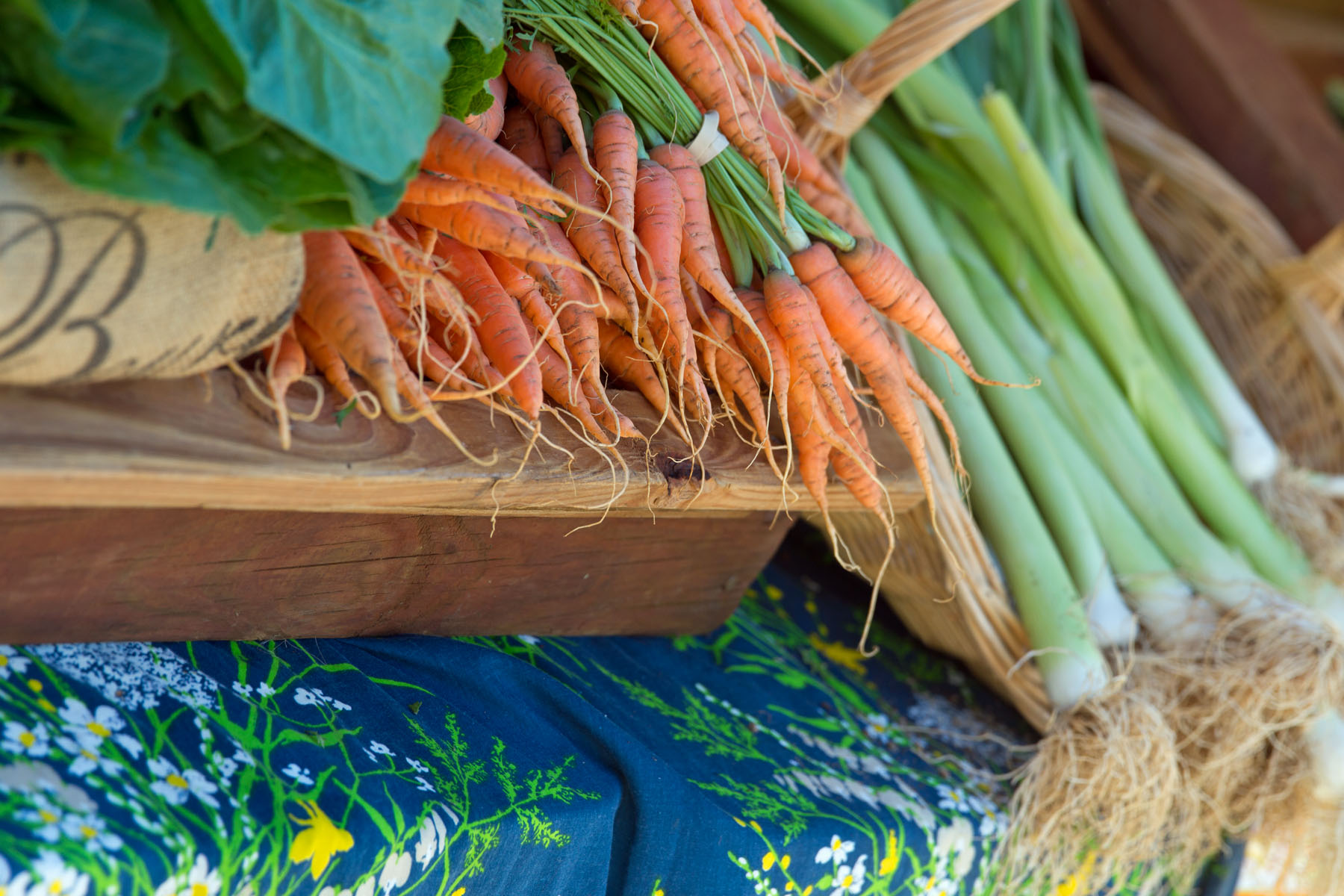 get fresh & fit on saturdays in old town fort collins photo