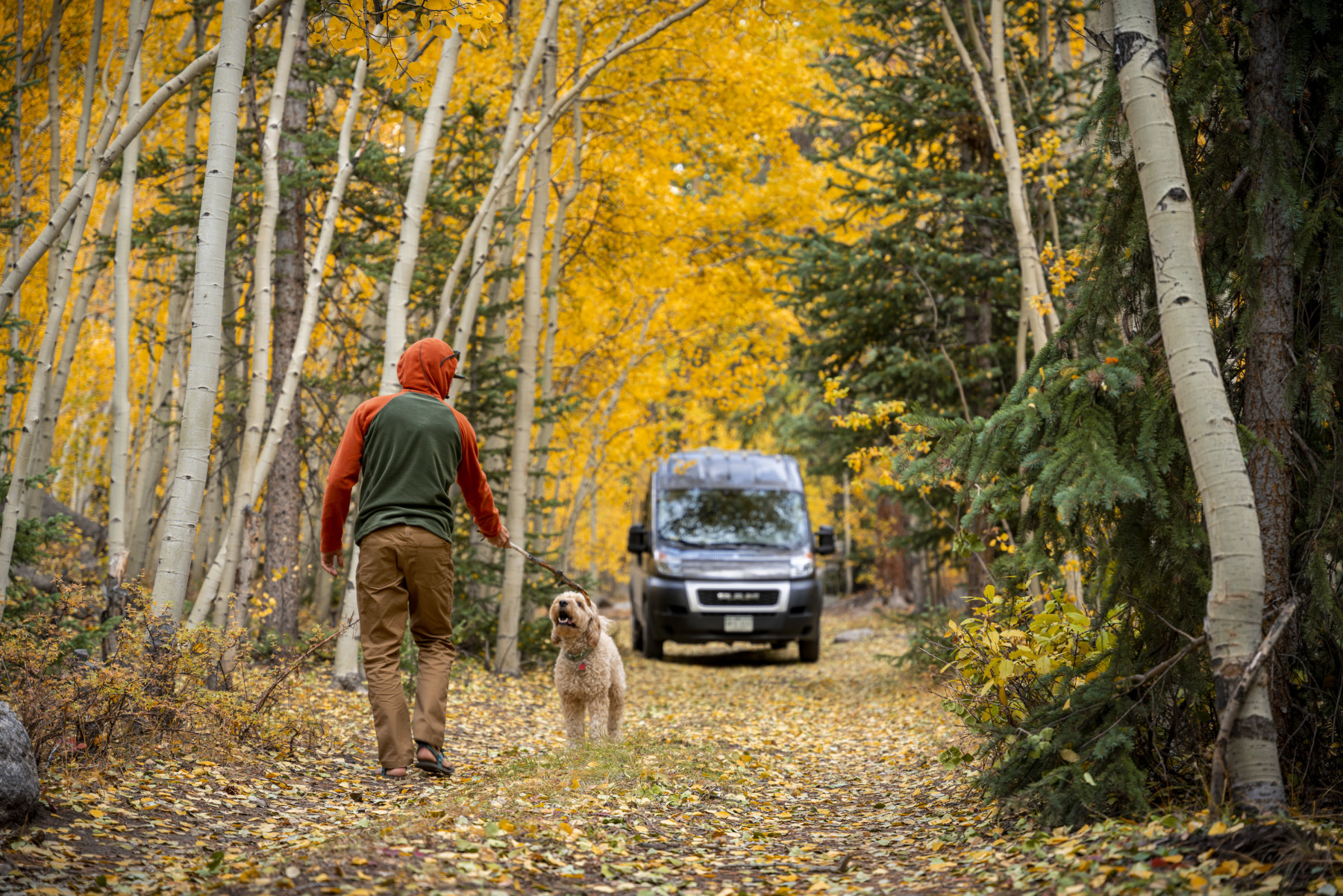 native campervans photo