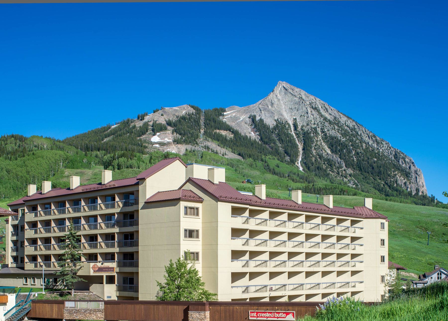 summer at the elevation photo