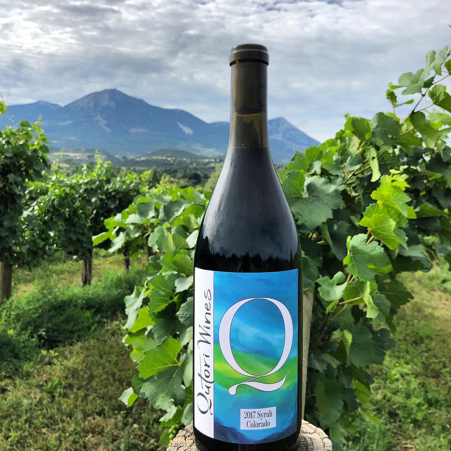 qutori wines photo