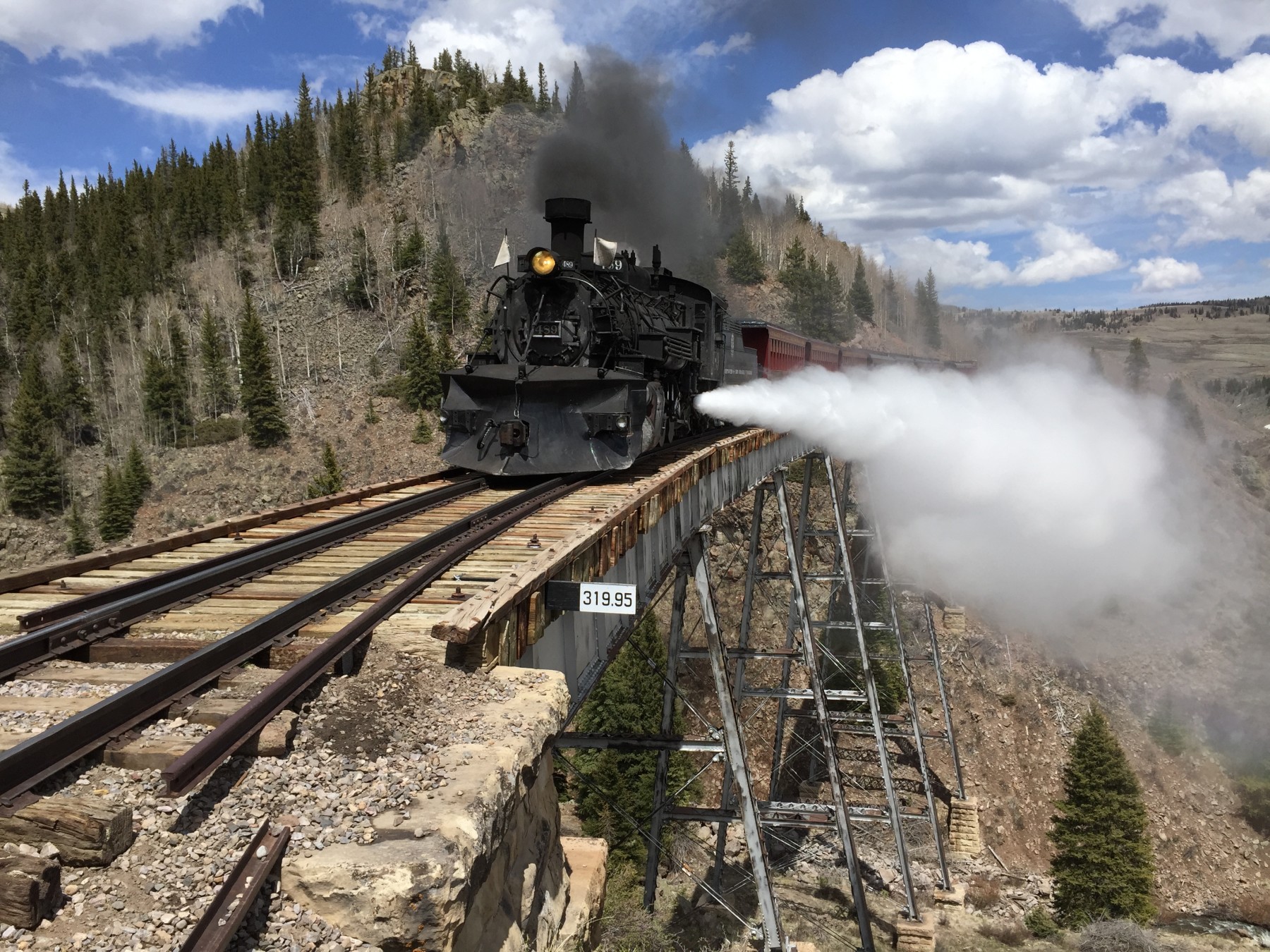 all aboard, for the ride of your life! photo 9