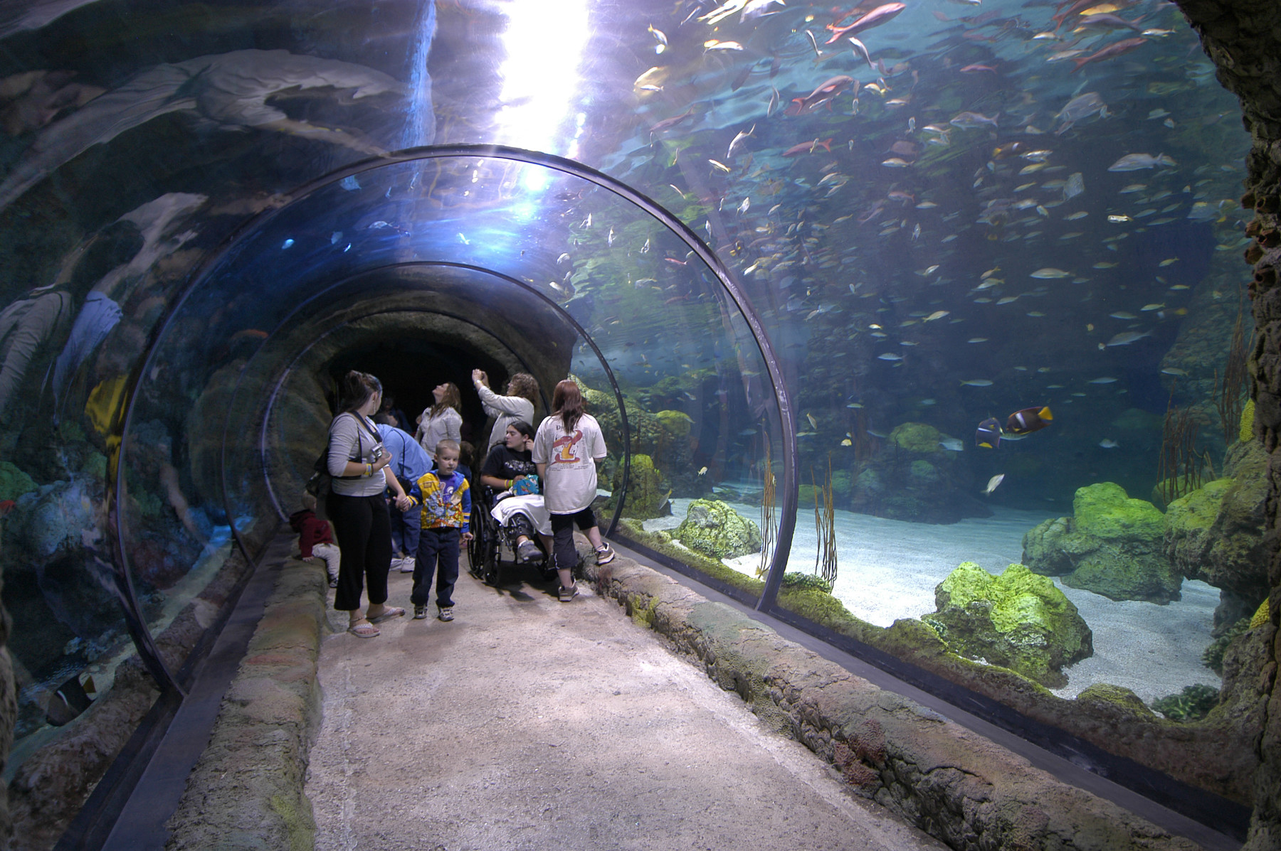 exhibits at downtown aquarium in denver photo 3
