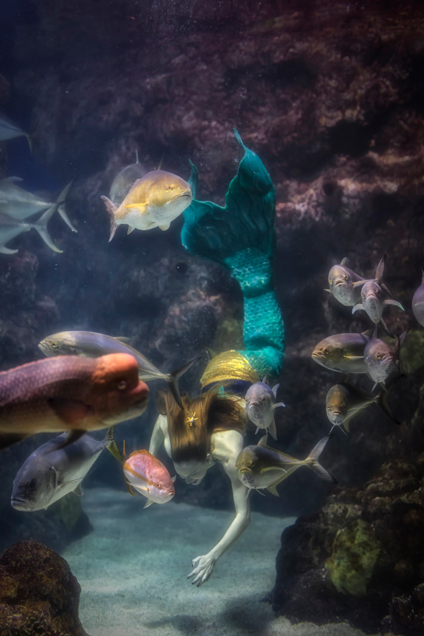 mystic mermaid photo 6