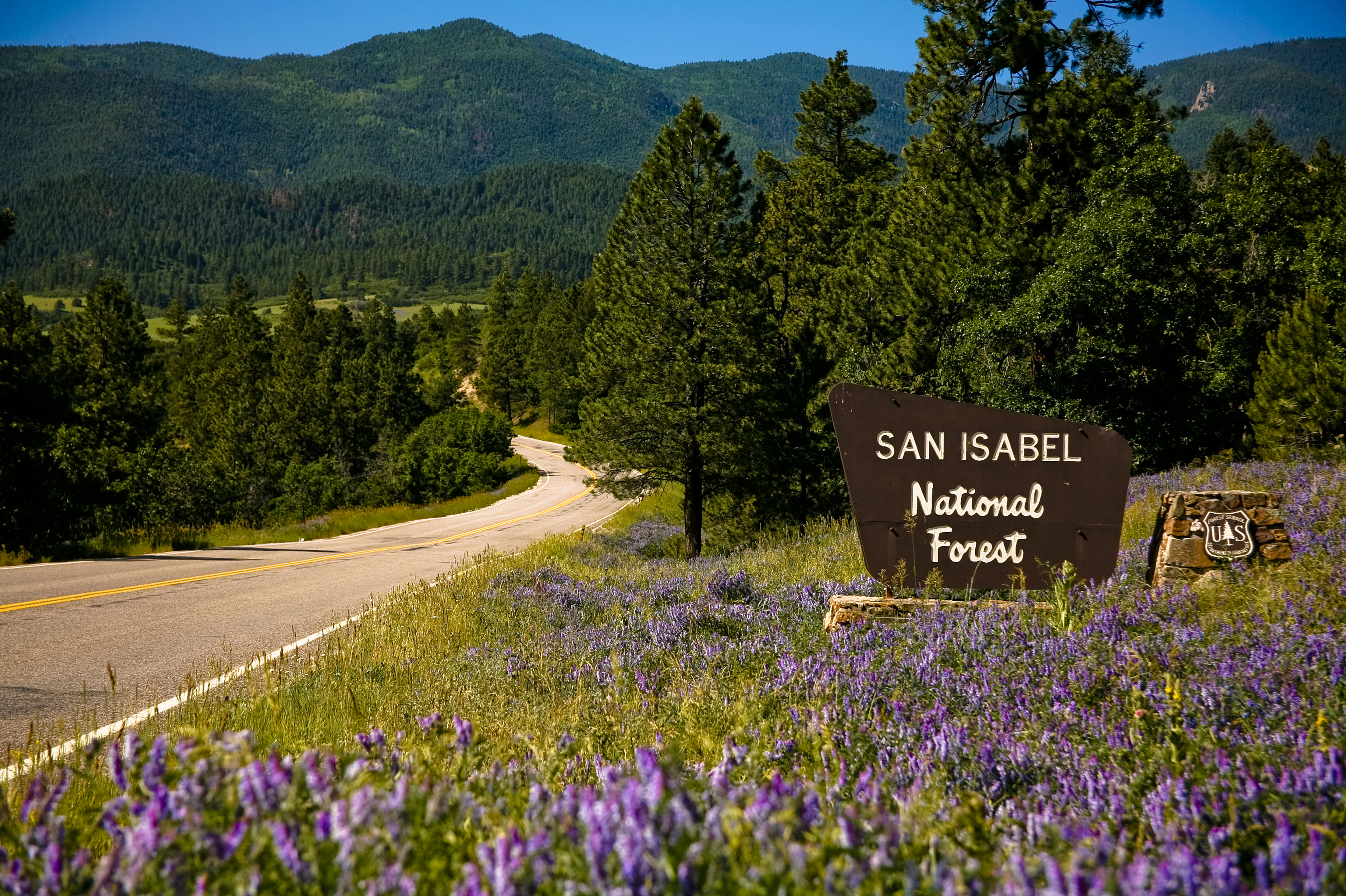 san isabel national forest photo